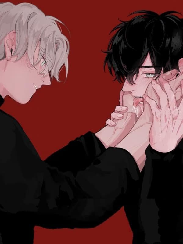 Red Limit - Cover Image