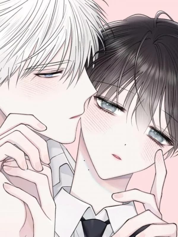 The Degrees Between Us - Cover Image