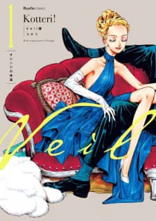 Veil - Cover Image