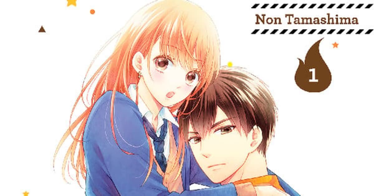 My Boyfriend in Orange (Moekare wa Orange-iro) Manga Ends After a 10-Year Journey