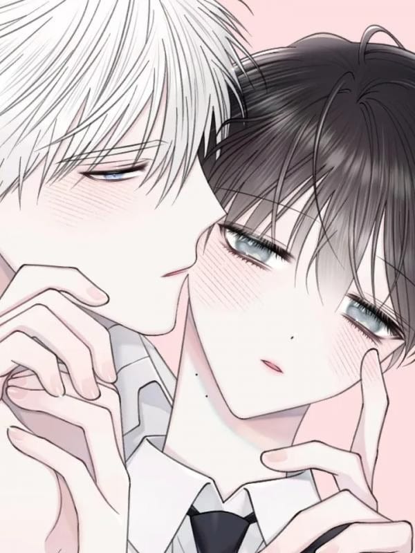 The Degrees Between Us - Cover Image