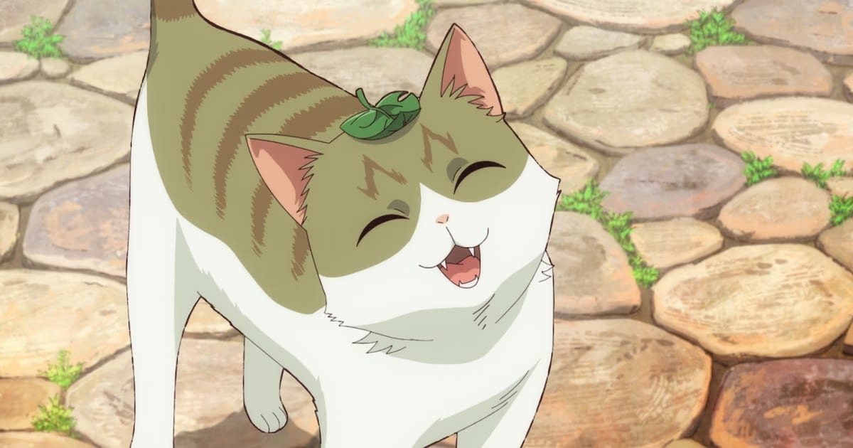 Cat and Dragon Anime Starts on July 4: New Cast and First Promotional Video Released
