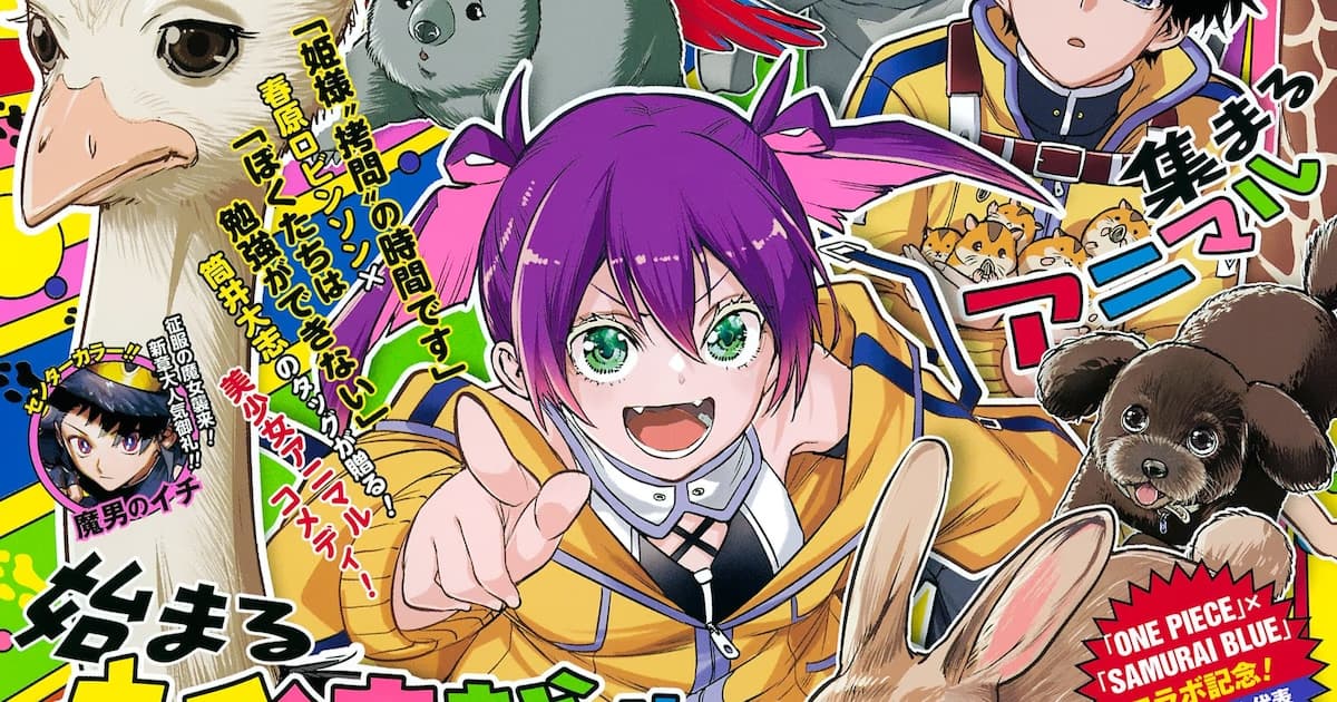 New Series in Jump from Creators of Hime-sama and We Never Learn: Animal Signal